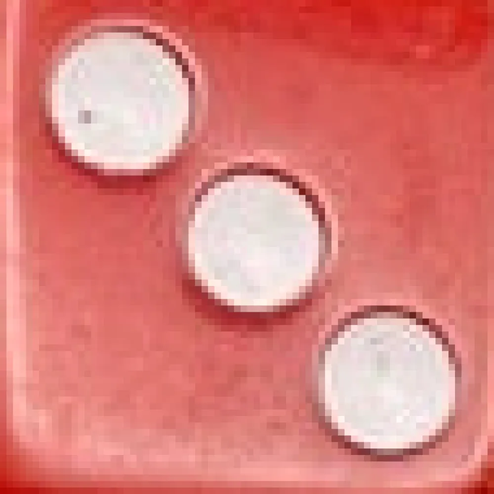 Sterling Silver Dice Ring Red 3 New