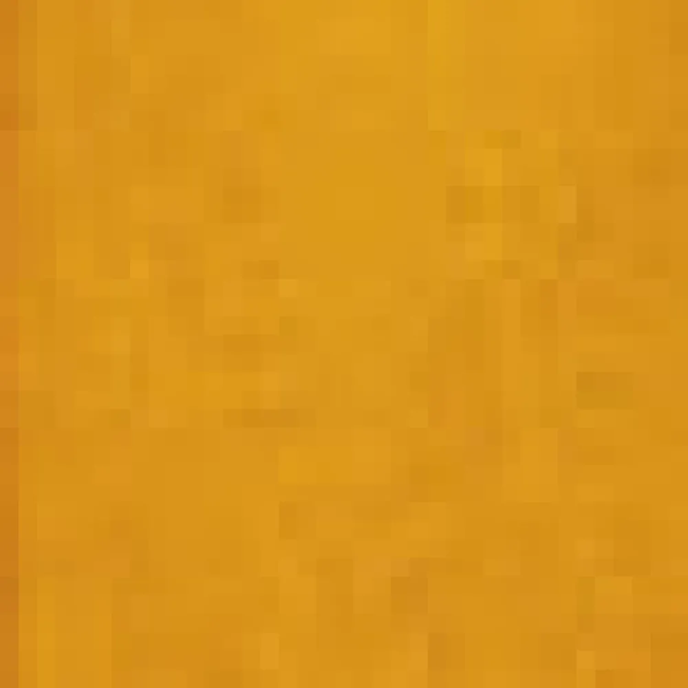 Summertime Serenade Shorts Marigold Clearance