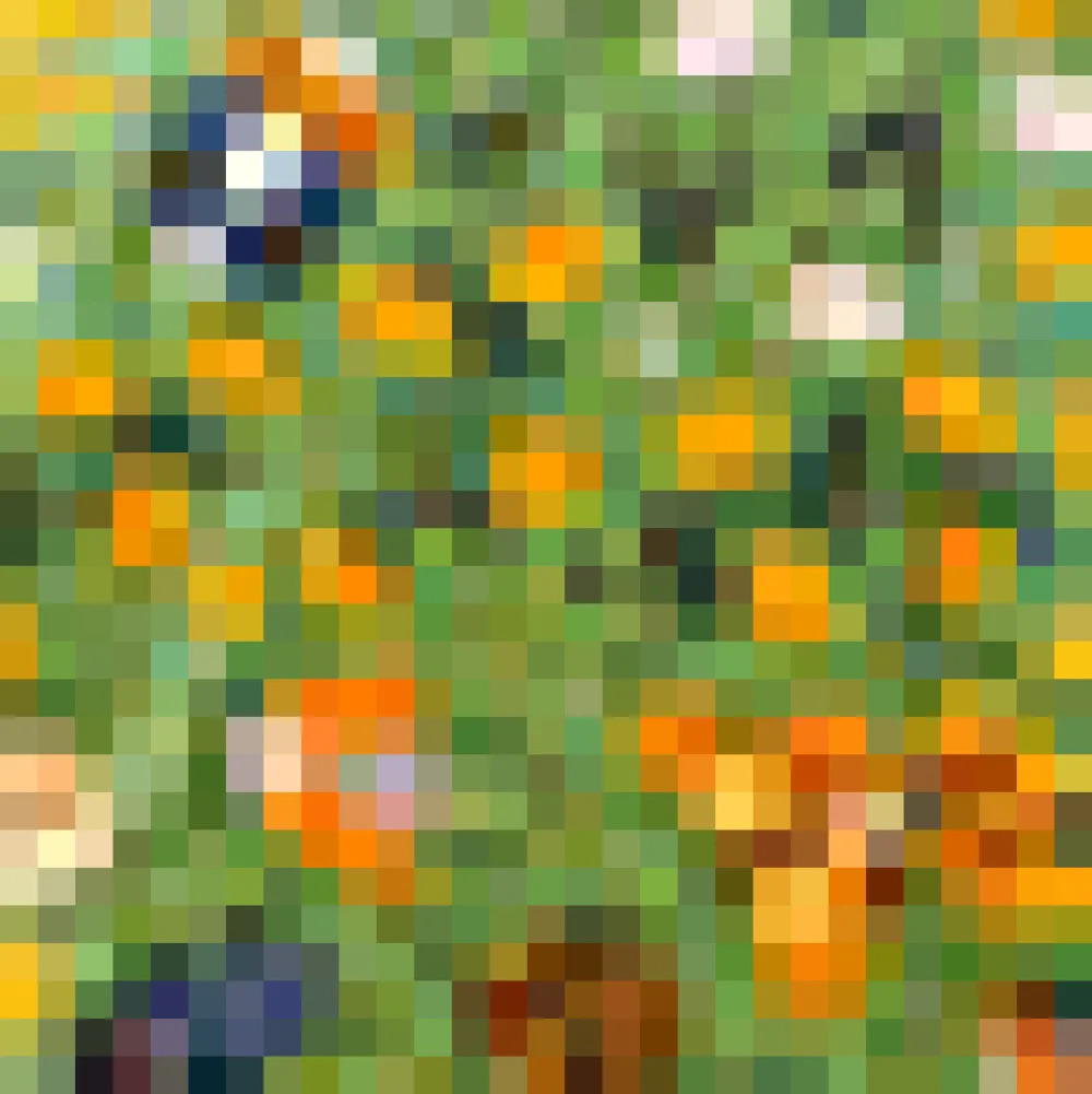 BTC Sunbeam Dance Strappy Dress Whimsy Wings Clearance