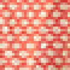 The Class Act Collar Top Swim School Discount