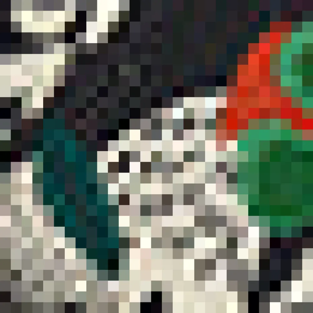 The Lace-Up & Lounge Wide-Leg Pants Venus Vibes Sale