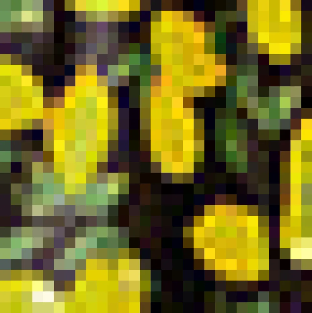 BTC The ade Stand Stunner Dress Lemon Hot