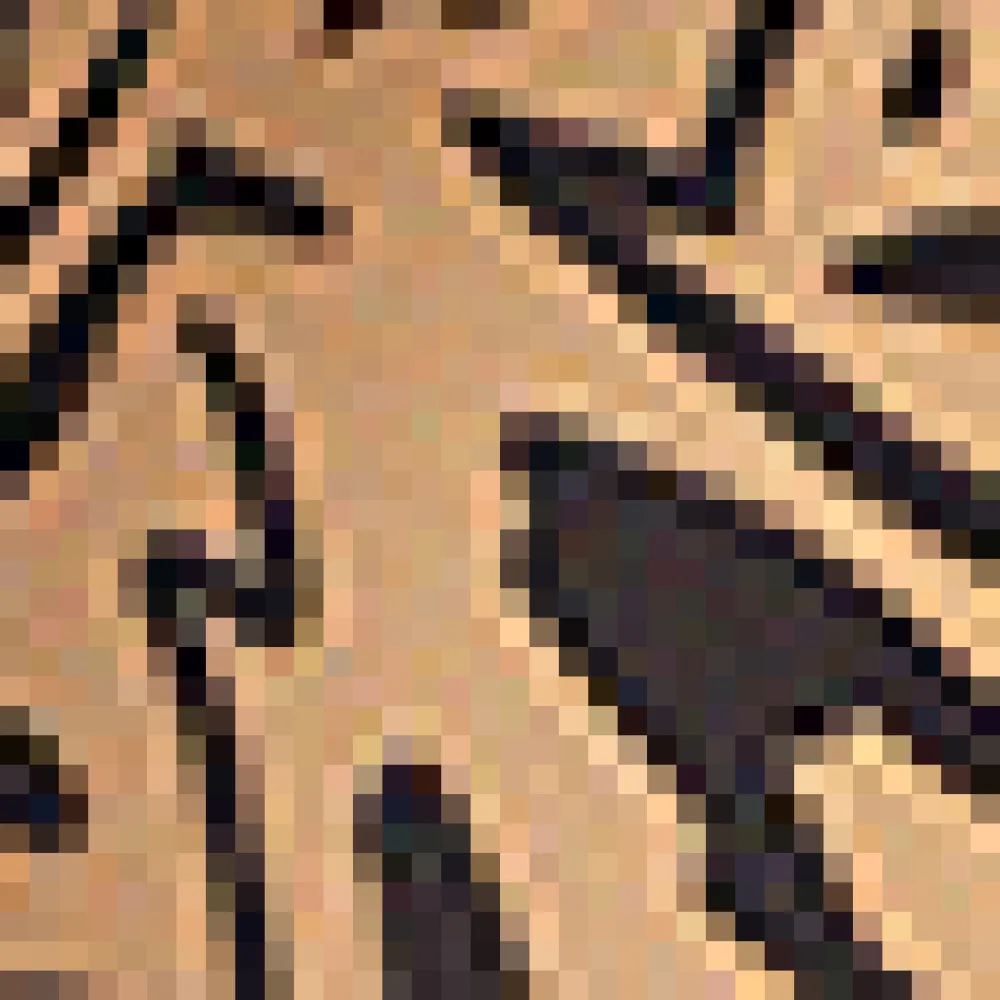 Fortune Swimwear, LLC The Tatianna Bikini Top Brown Leopard Sale