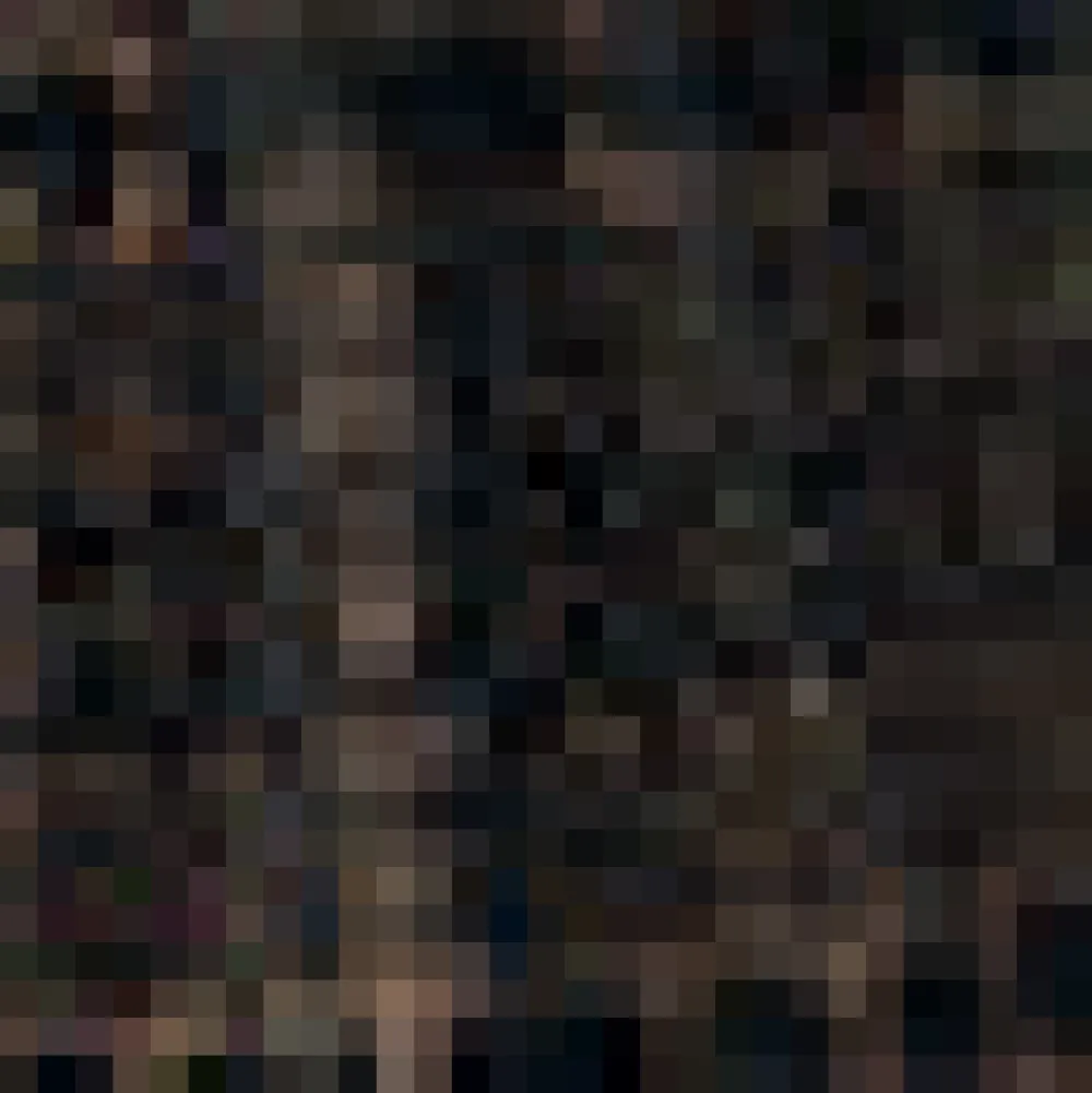 The Vivienne V-Neck Dress Black Lace Hot