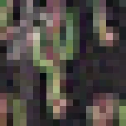 BTC Twilight Sonata Fit & Flare Dress Midnight Motif Discount