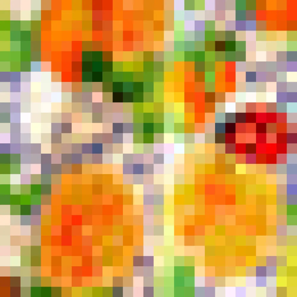 Twirl-Worthy Charm Midi Skirt Ladybug Citrus Clearance