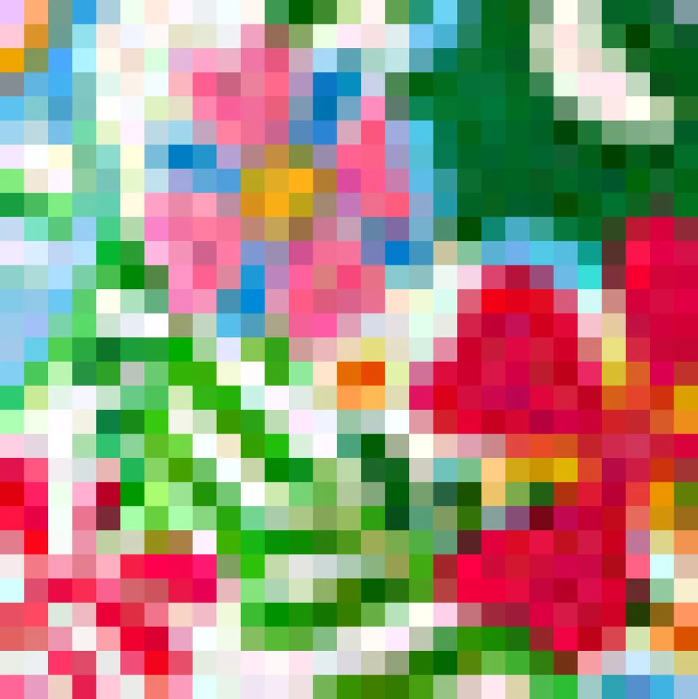 BTC Vintage Voyage Shorts Dino-Flage Online