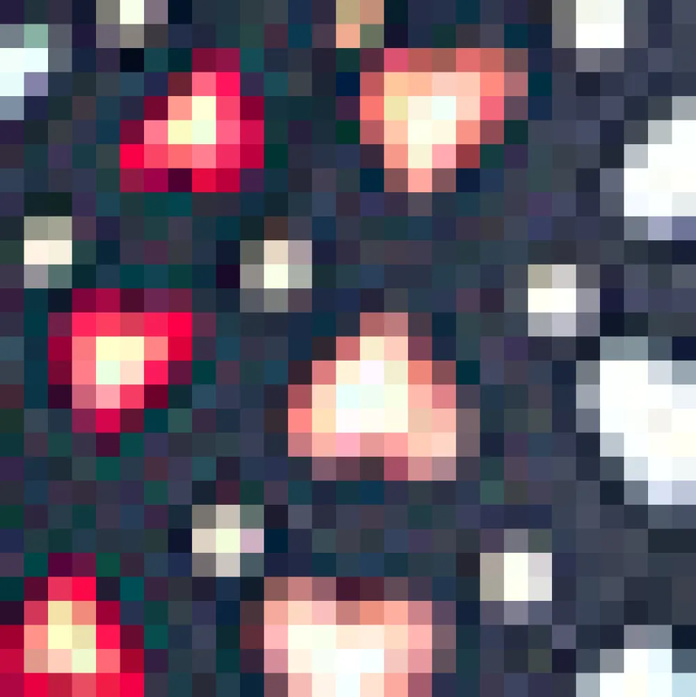 BTC Whimsical Wanderlust Shirt Dress Navy Plunge Best